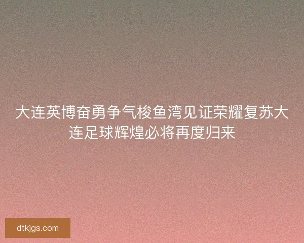 大连英博奋勇争气梭鱼湾见证荣耀复苏大连足球辉煌必将再度归来
